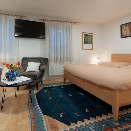 Homely Apartment In The Center With Garden View Гмунден Екстер'єр фото