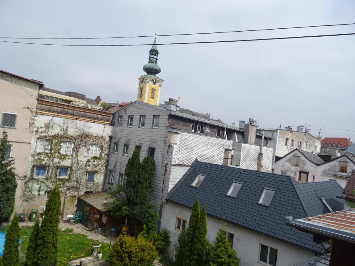 Homely Apartment In The Center With Garden View Гмунден Екстер'єр фото